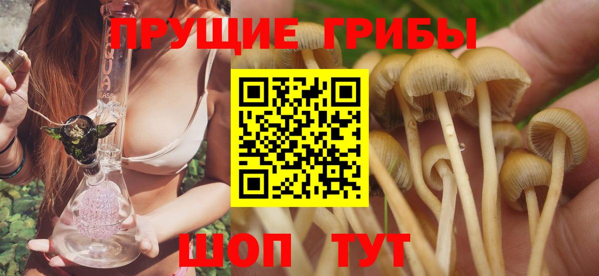 Псилоцибиновые грибы мицелий Шатура